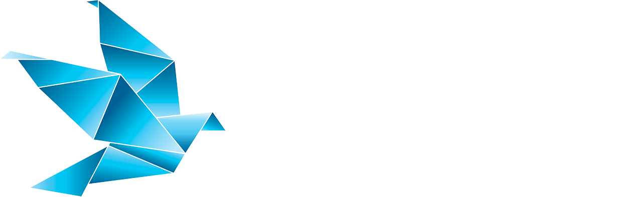 Blu Power Holding